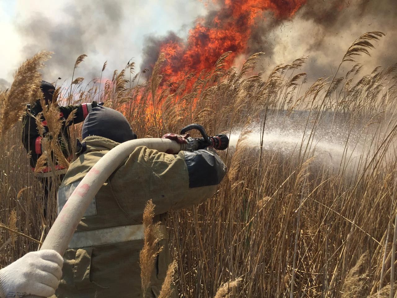 Крупный пожар тушат на территории резервата близ Атырау